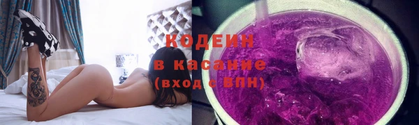 spice Богородск