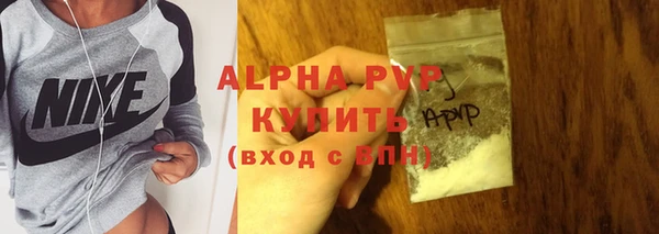 spice Богородск