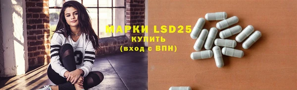 дживик Бородино