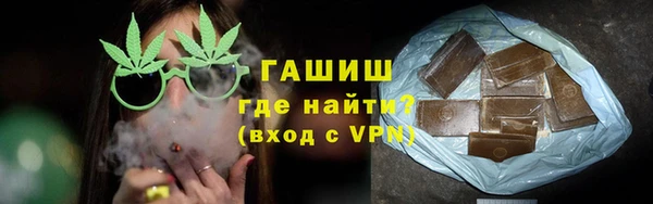 дживик Бородино
