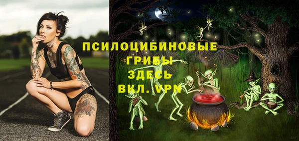 дживик Бородино