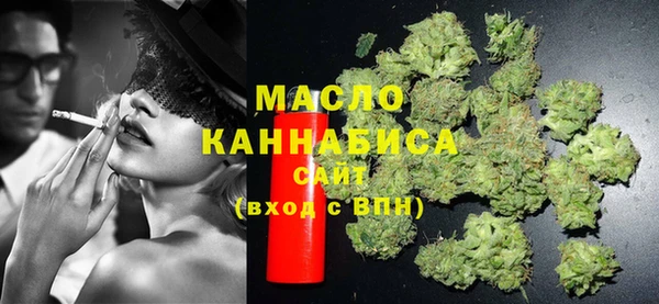 дживик Бородино