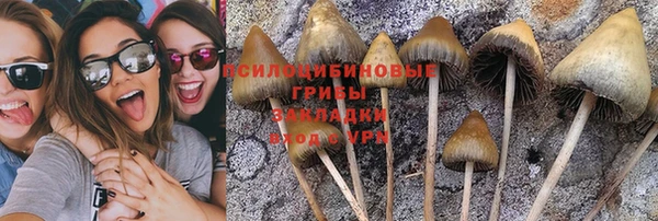2c-b Богородицк