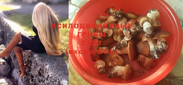 крисы Богданович