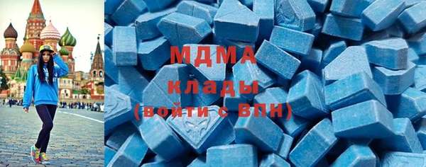 spice Богородск