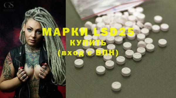 spice Богородск
