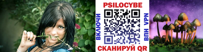 цена наркотик Горнозаводск гидра зеркало Псилоцибиновые грибы мухоморы